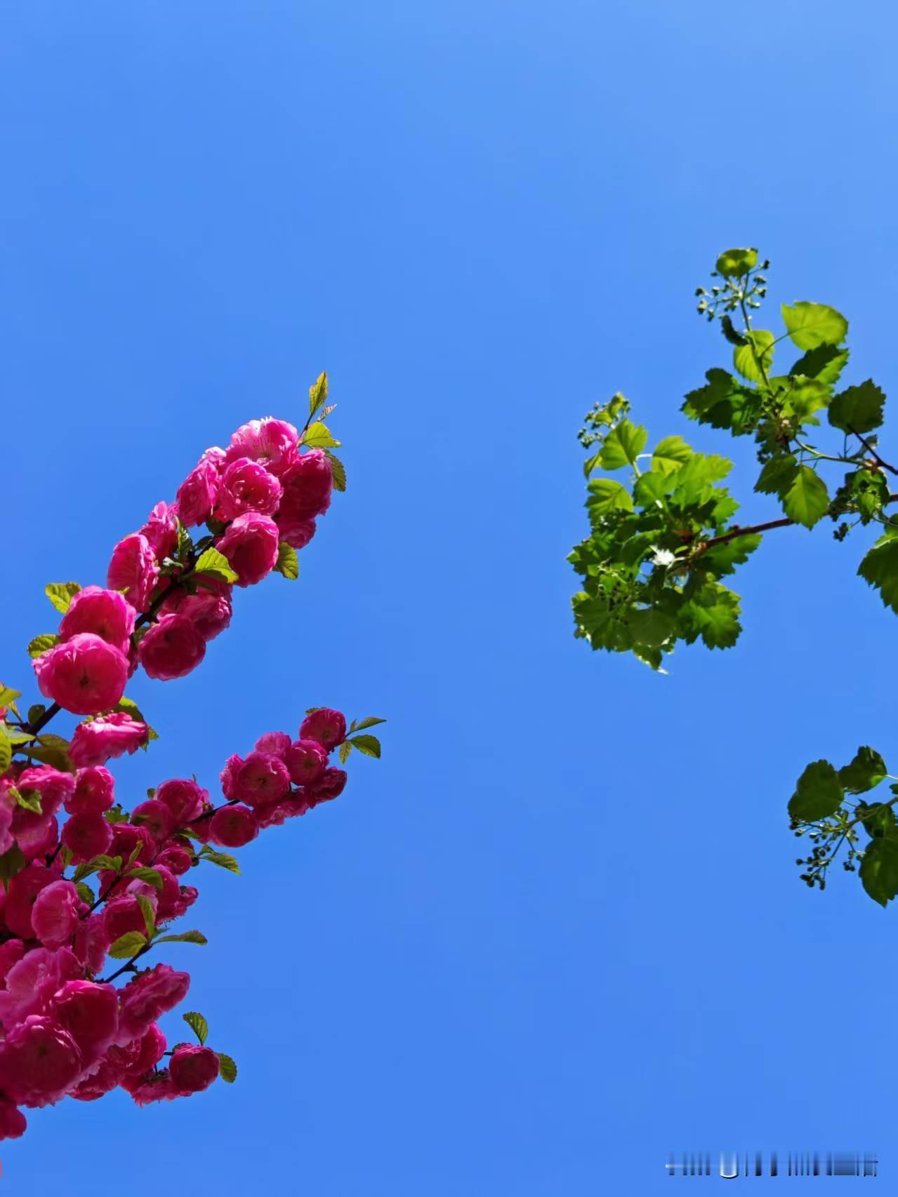 女大三抱金砖，老家邻居的老婆大他三岁，去年他儿子结婚了，儿子的老婆又大他儿子三岁