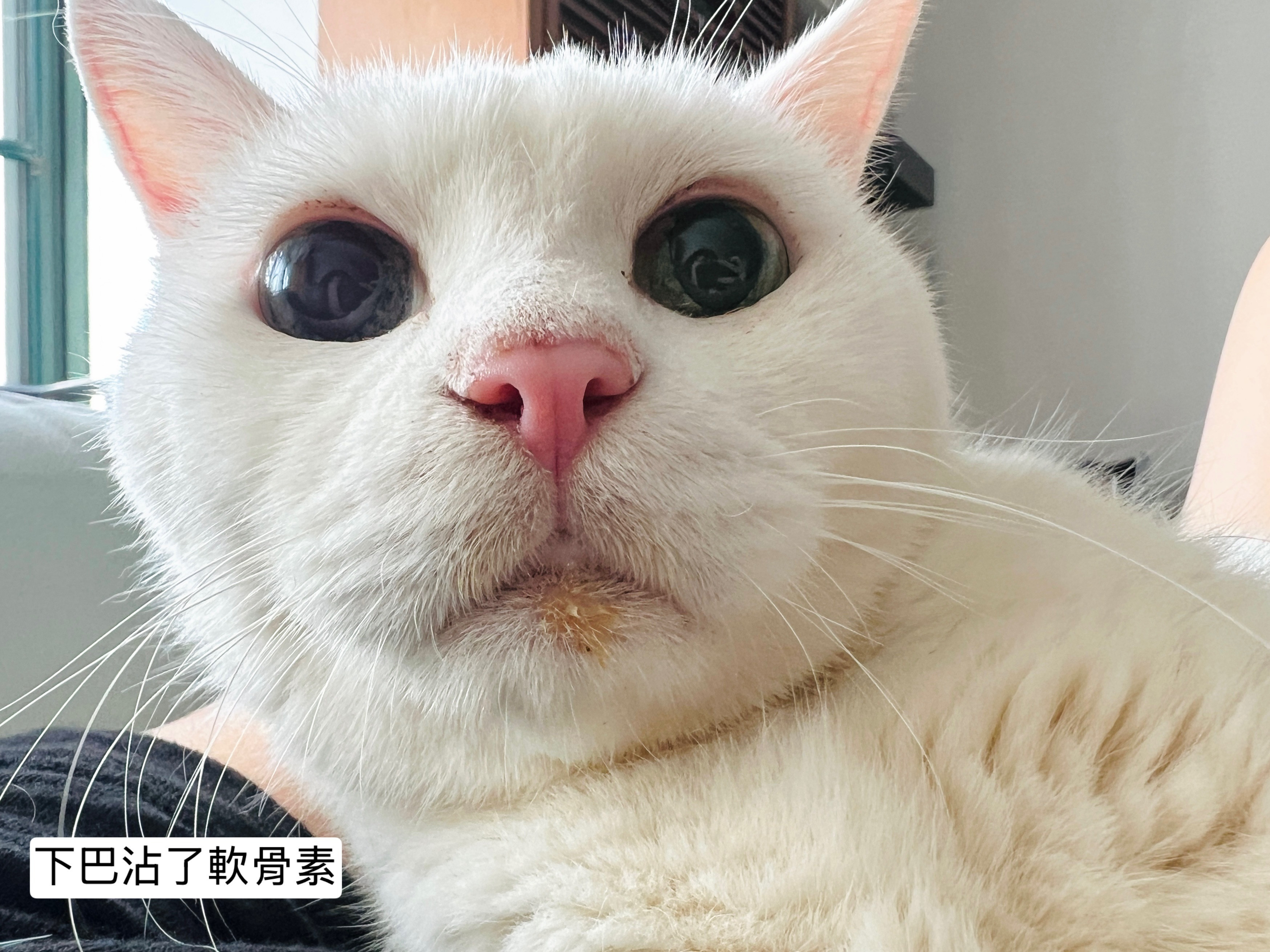 星期五，大家都要好好的！​​​