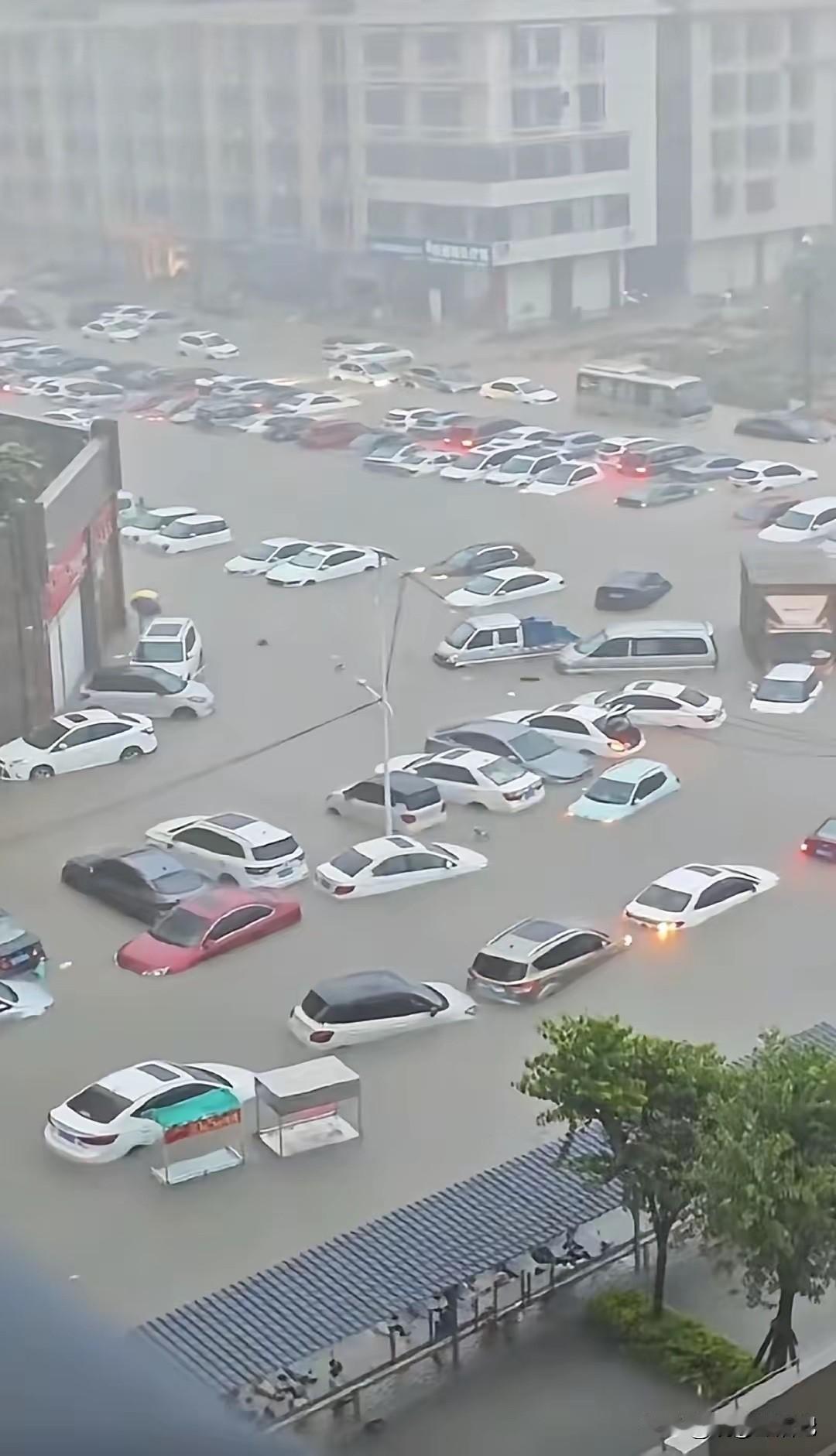 保险公司：老天爷呀你别在下雨了[捂脸哭]