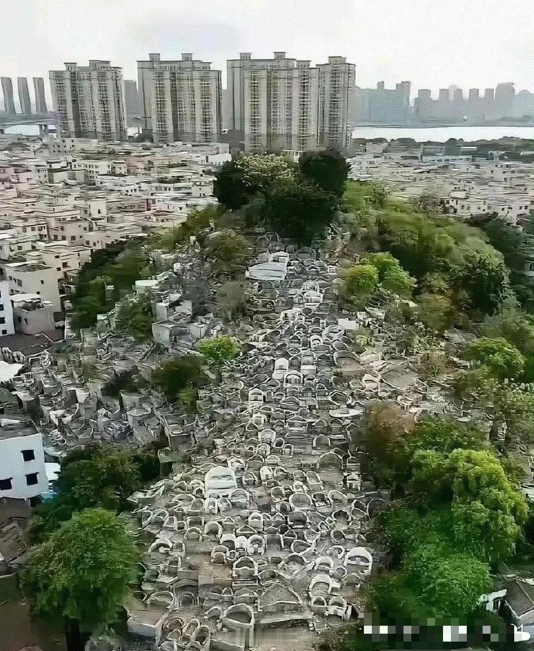 这就是多年后土葬的后果！！!