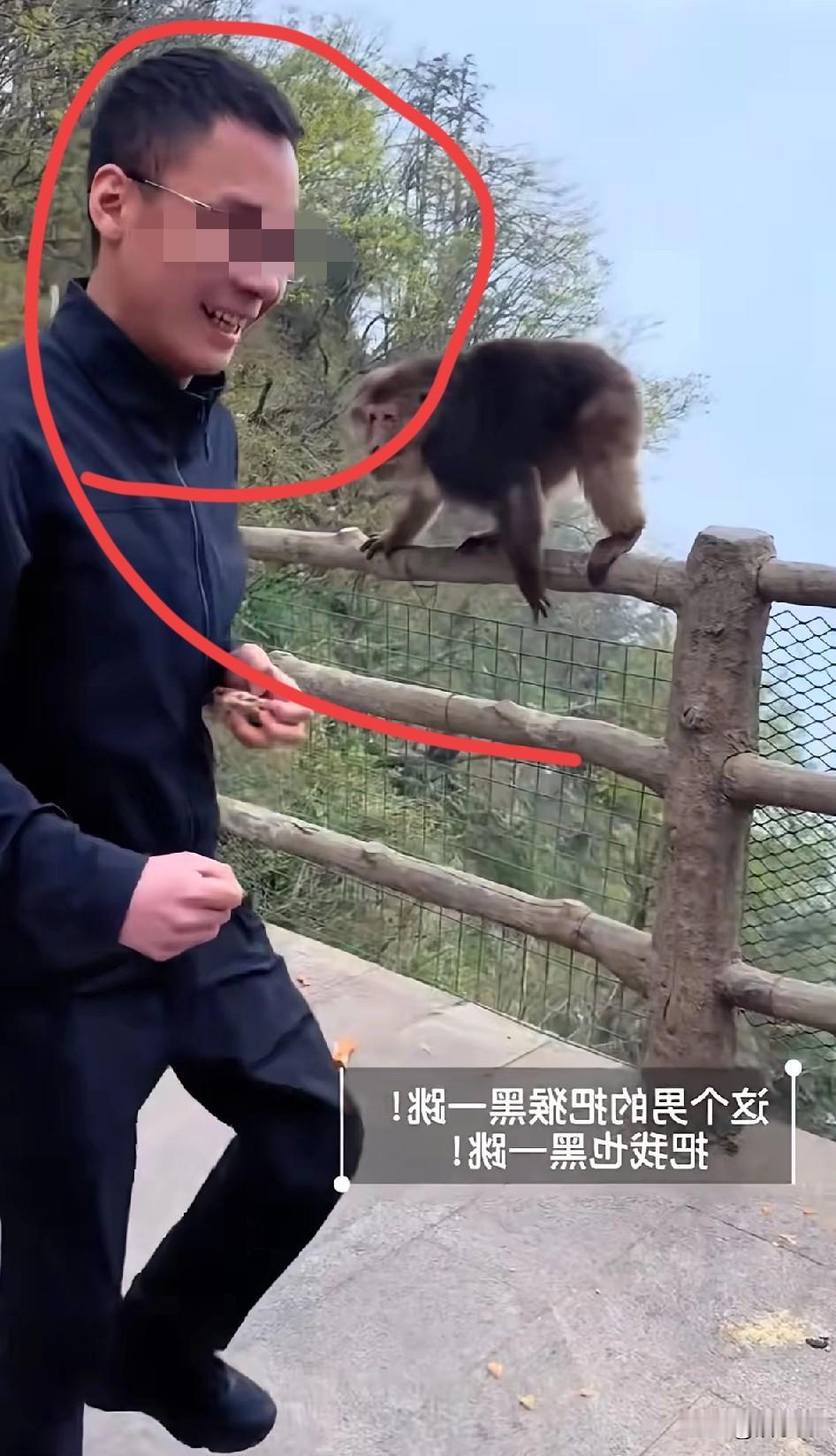 峨眉山推猴这事惹众怒，原因有三：1.这个年轻男子是故意的，推完了还笑嘻嘻走
