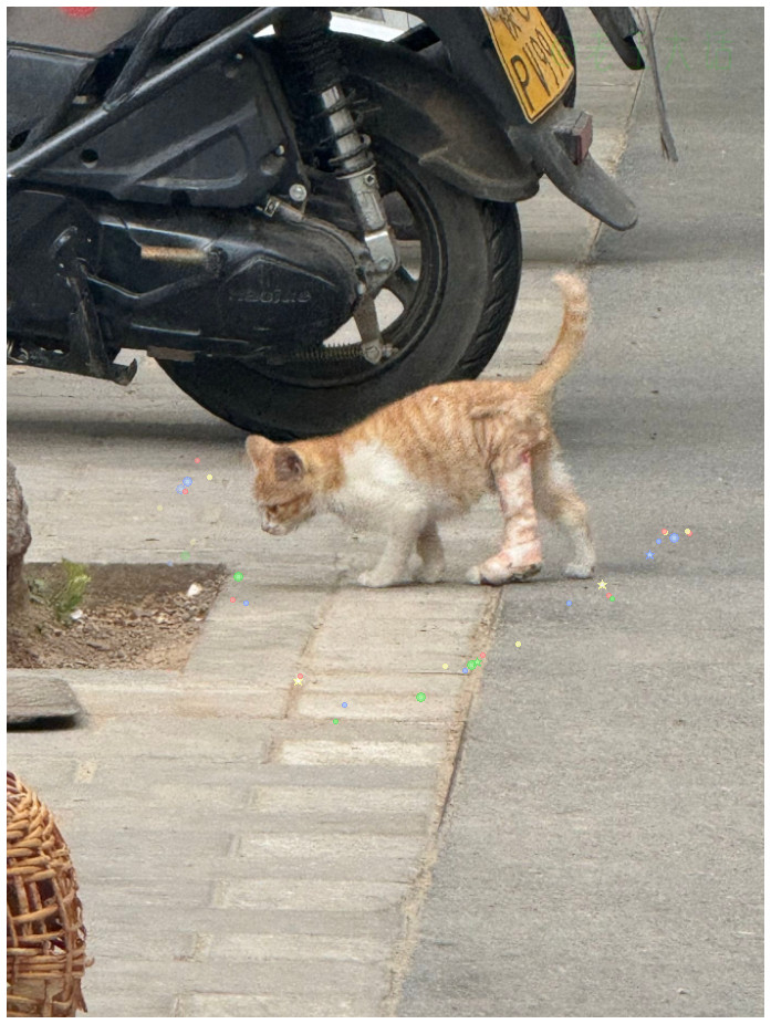 🐱：这就是三脚猫的功夫，行动自如！