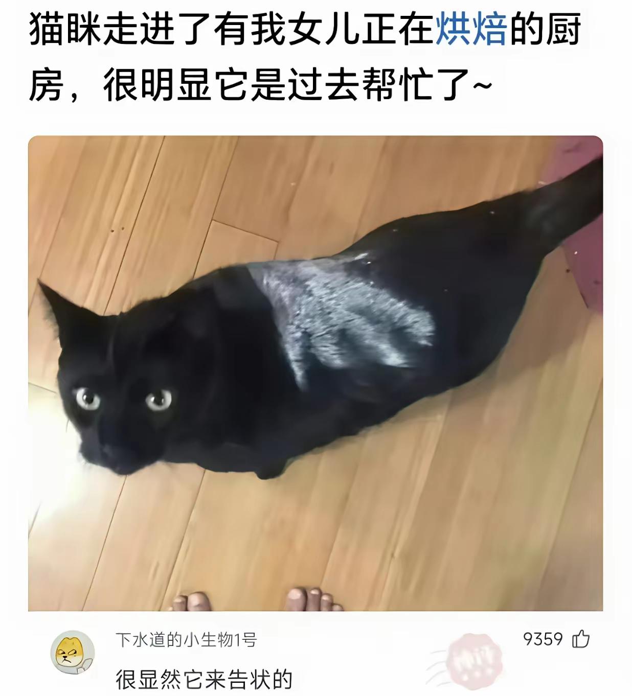 确实，它是来告状的[笑着哭]