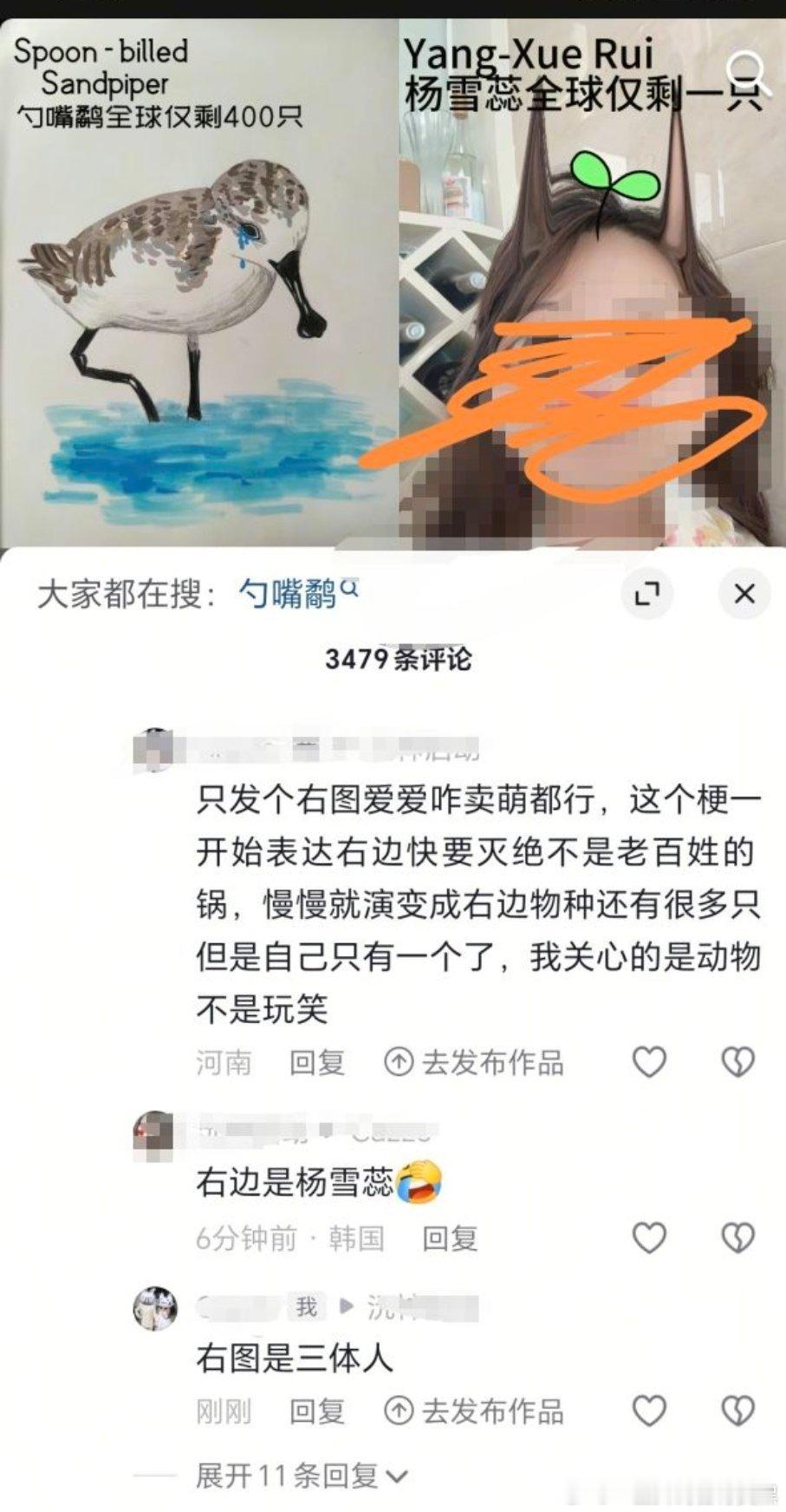 智商已经到达了马里亚海沟