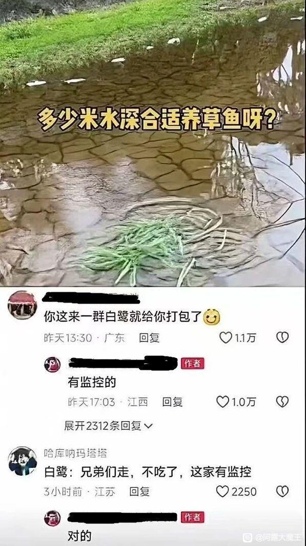 你这句“有监控的”我是没想到的[捂脸哭]