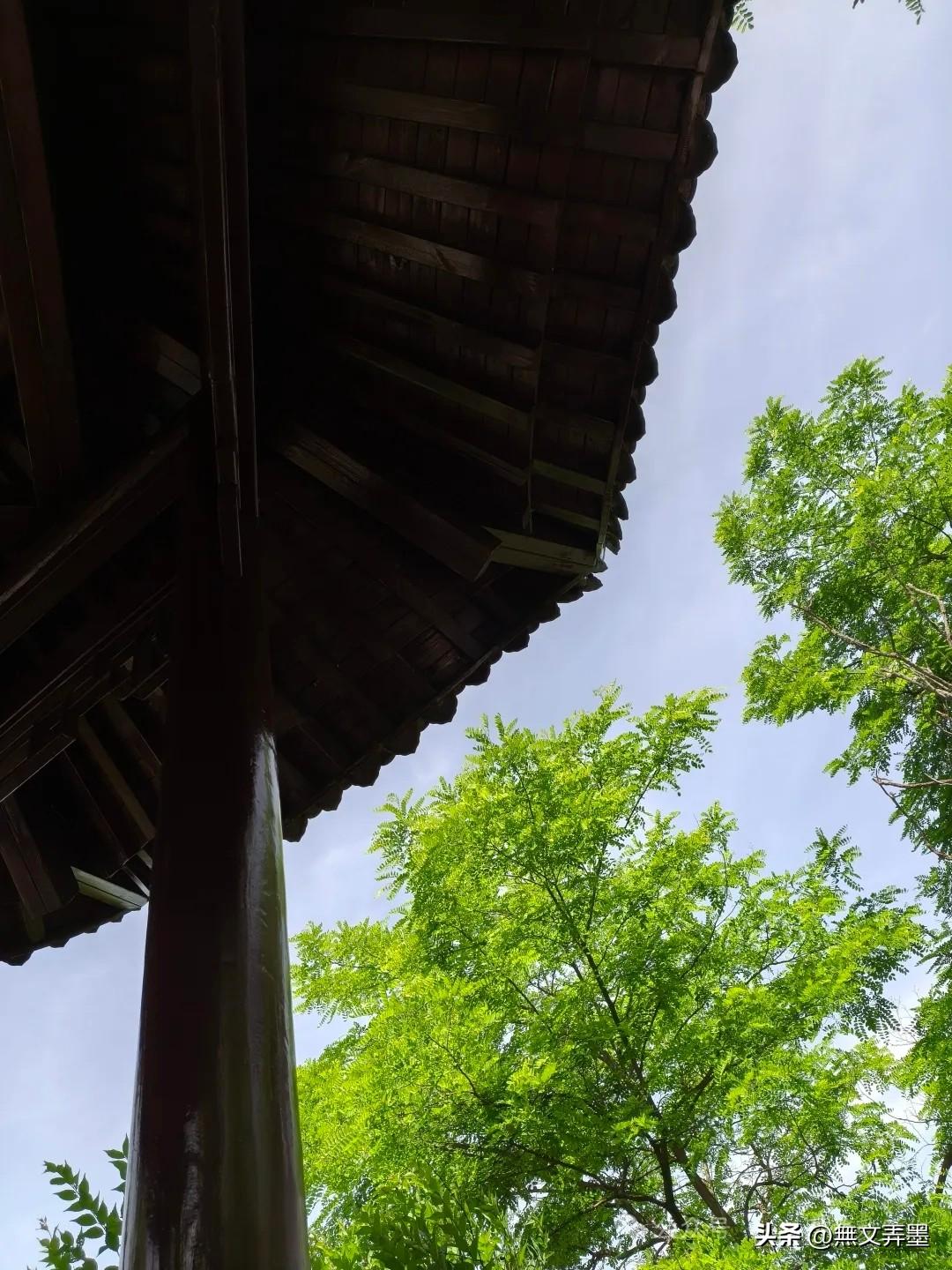 这三样稳住了，日子就不会差！一个人走下坡路，往往从这三件事开始：1，嫌饭，就