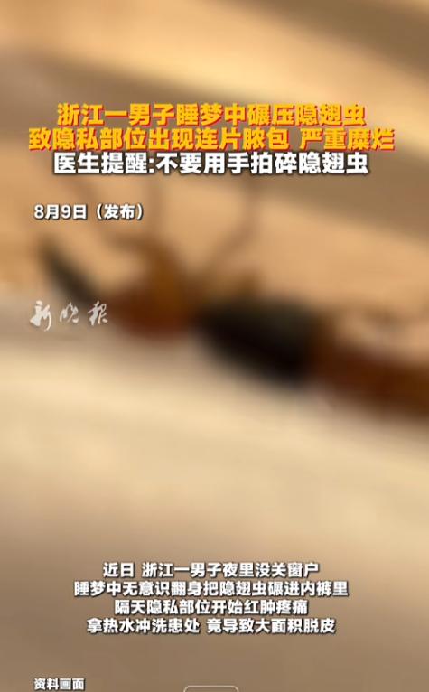 “太惨了！”8月9日报道，浙江，一男子晚上睡觉的时候忘记了关窗户，一只隐翅虫飞了