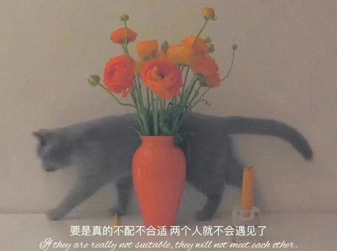一个人如何培养好气质：1.把脖子挺直就会自然而然产生一种贵气感，气流顺畅才能气度