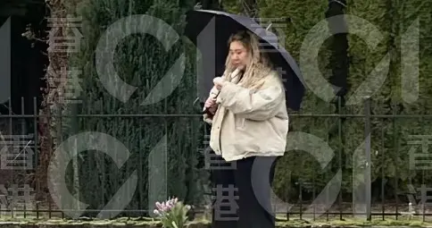 39岁郑欣宜在母亲沈殿霞墓前哭到无法起身;沈殿霞病逝后留巨额遗产, 女儿...
