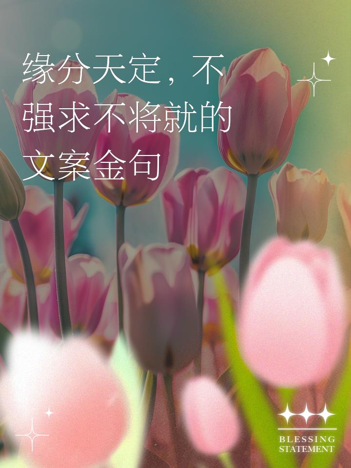 强求的缘分，从来都不是良缘你是不是还在为走散的人彻夜难眠？总想着再续前缘，