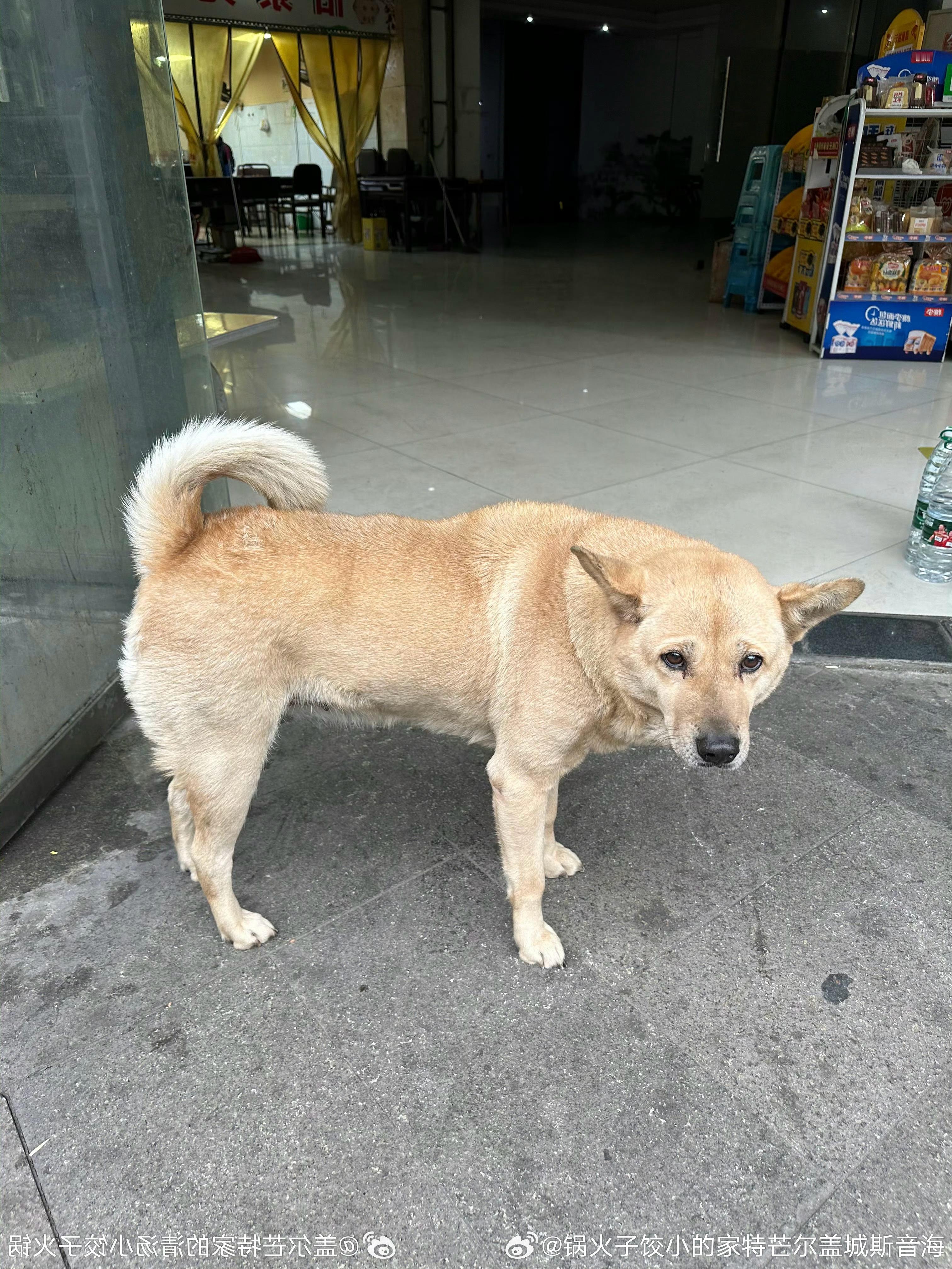 61：315˙1˙4202咪咪只这欢喜我！下一次撩得都过路次每，咪咪的下楼