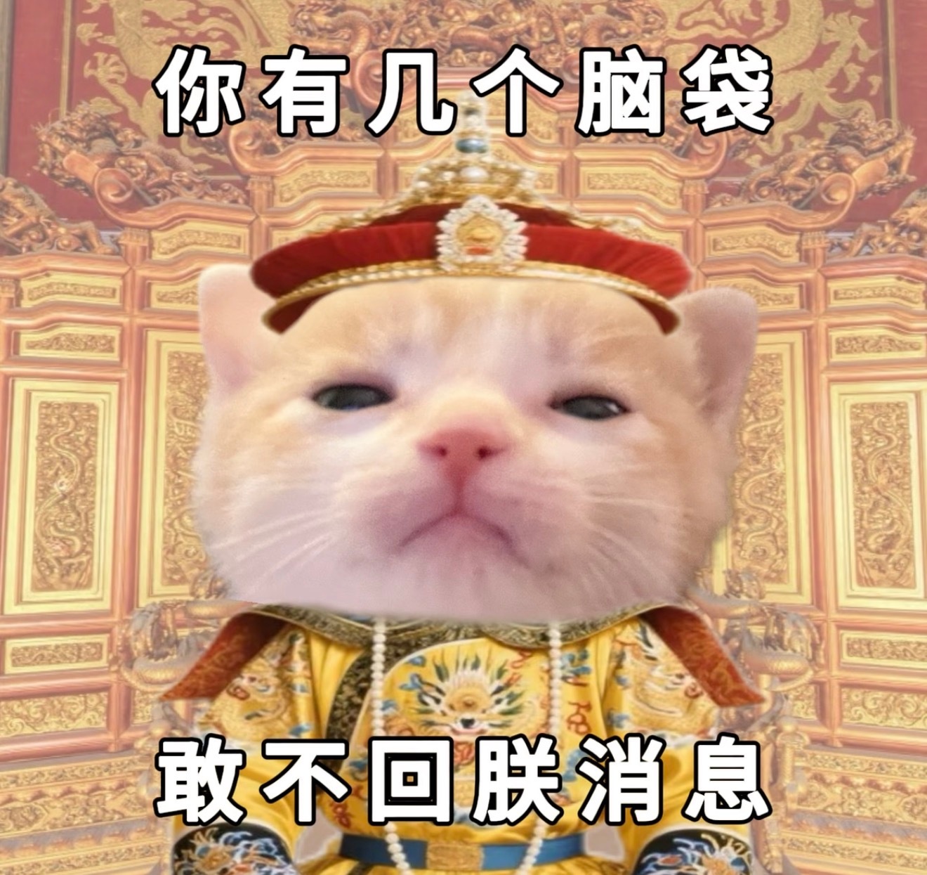 直接破房把我拉嘿了，笑si还想大🐴几个来回呢下次就建议这些ghg爱女的网络老鸨