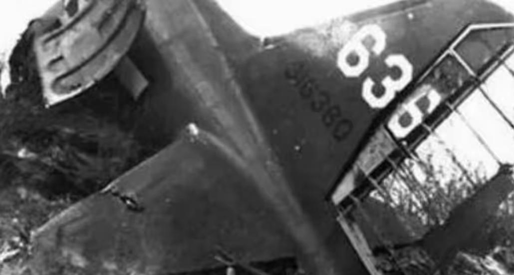 1946年，叶挺将军所乘飞机坠机，失事原因一直是谜，直到2006年，一位普通农村