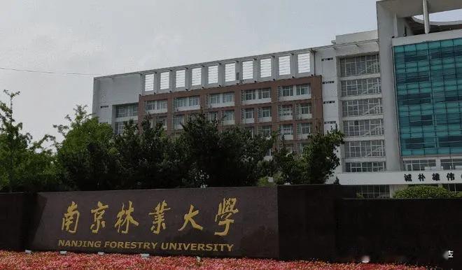 南京林业大学38岁的宋凯副教授，因为入职四年没有获批一项国家自然科学基金项目，导