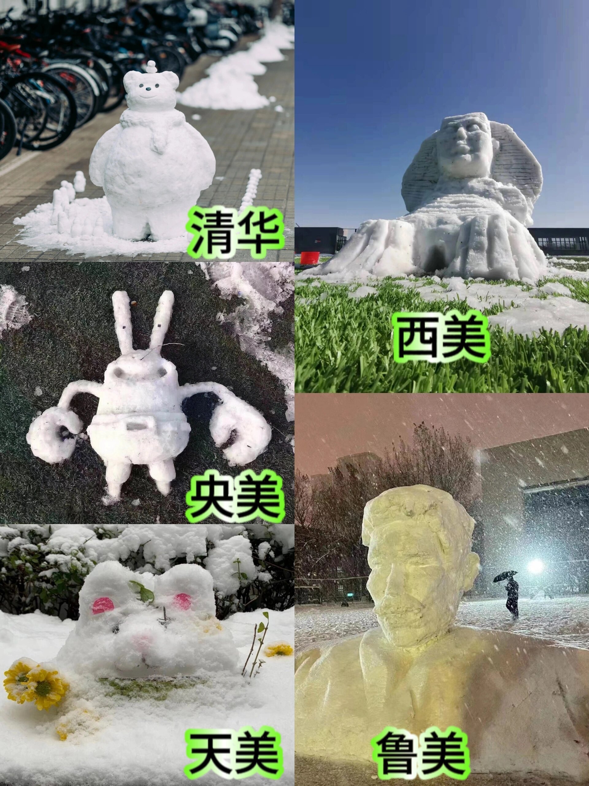为什么没有人举行一个全国堆雪人大赛​​​