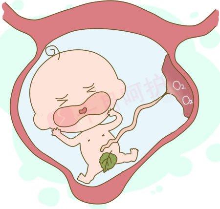 如何知道胎停育? 孕妈妈一定要关心这几件事