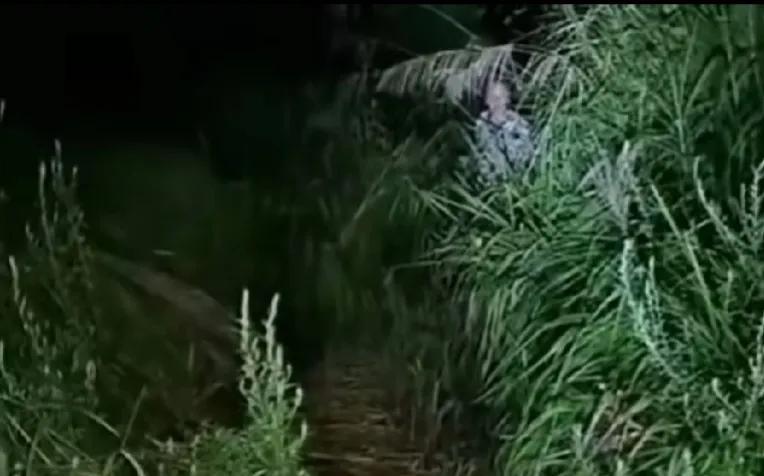 晚上在河边夜钓，突然听到身后的草丛里有动静。凭我的经验知道，这种情况只有两种可能
