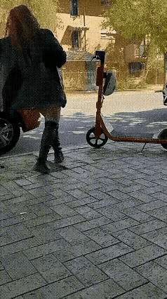 俗话说得好：不是不报时候未到！