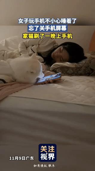 万万没有想到，广东，一女子在床上躺着玩手机刷视频，期间她刷着刷着就睡着了，但让其