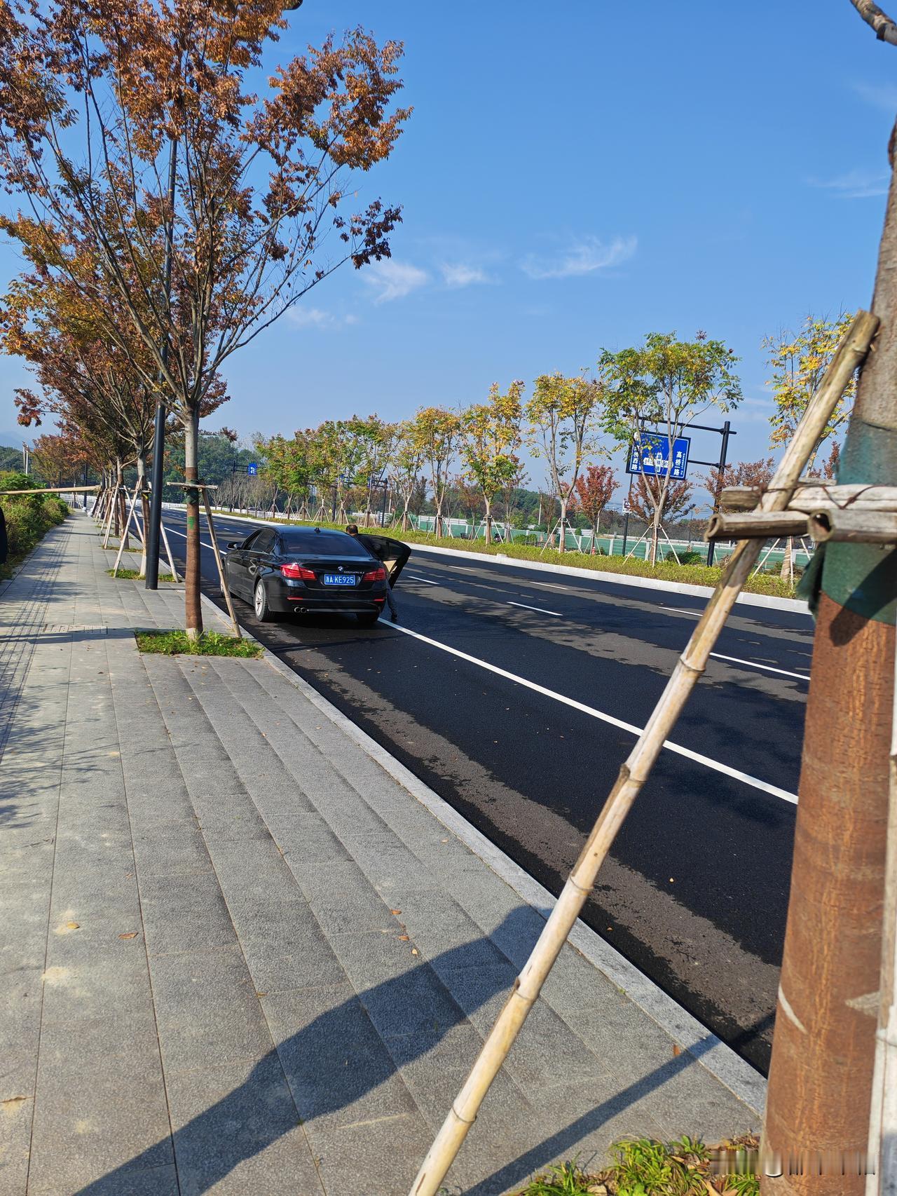 又一个开着宝马种菜的！拆了而又没有盖楼的地方，用彩钢围了起来，围墙外面还有一