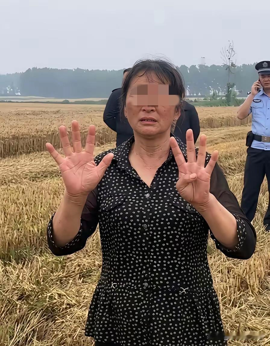 襄阳“割四赔五”的大妈终于认错了。之前佳宇和妻子从河南去襄阳收麦子，结果被大