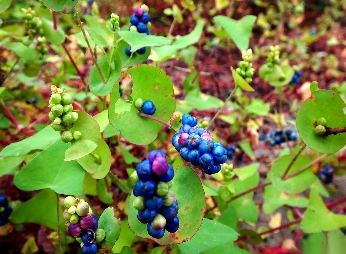 一个大老爷们，活生生被一泡尿给憋得英雄气短。白天，厕所刚出来，转身又想进。晚上