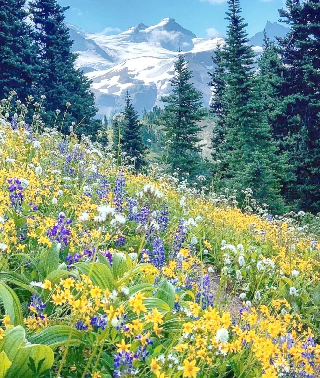 男人失业一年，真正塌掉的不是收入一个36岁的男人跟我说过一句话：“我不