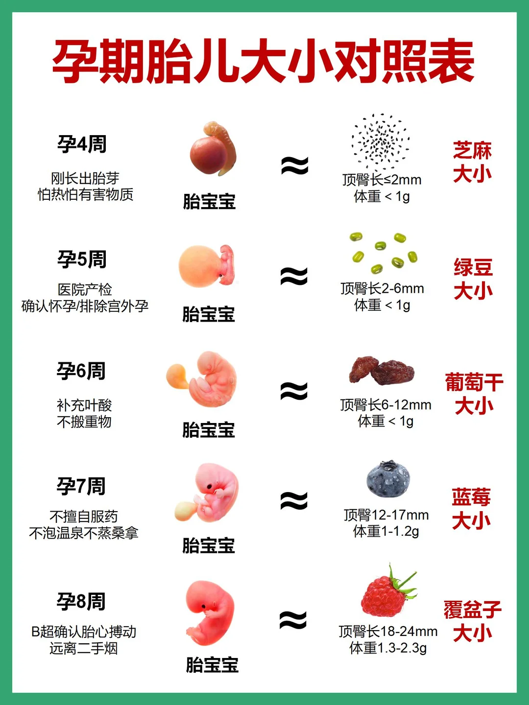 不同孕周胎儿大小对比图‼️怀孕每周做什么