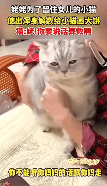 万物皆有灵！济南，姥姥为了留住女儿的小胖猫，使出浑身解数给猫咪画大饼，姥姥抱着猫