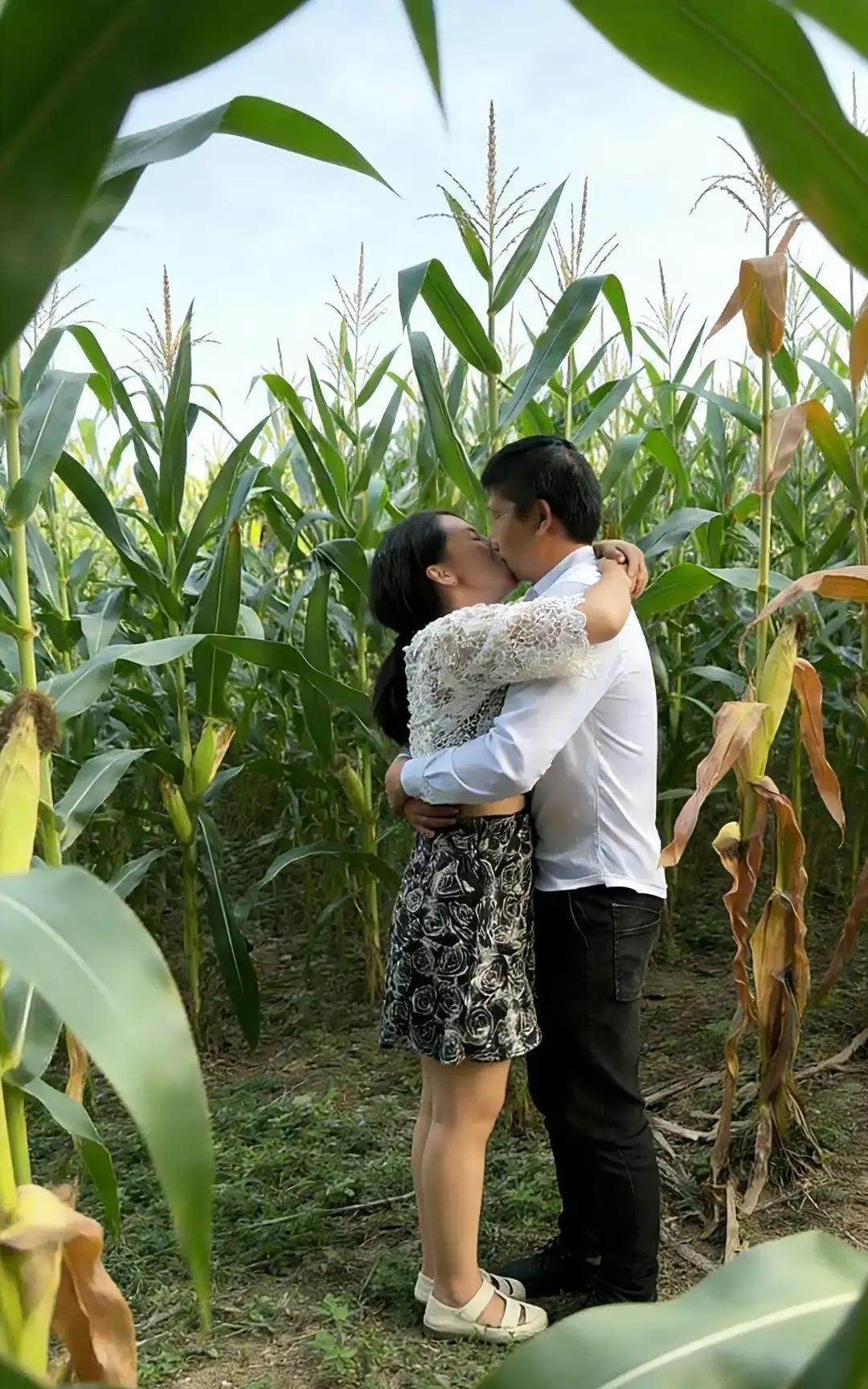 庄稼汉在玉米地一把抱住自家媳妇说咱就这么过一辈子，15秒视频把我看鼻酸。河北保
