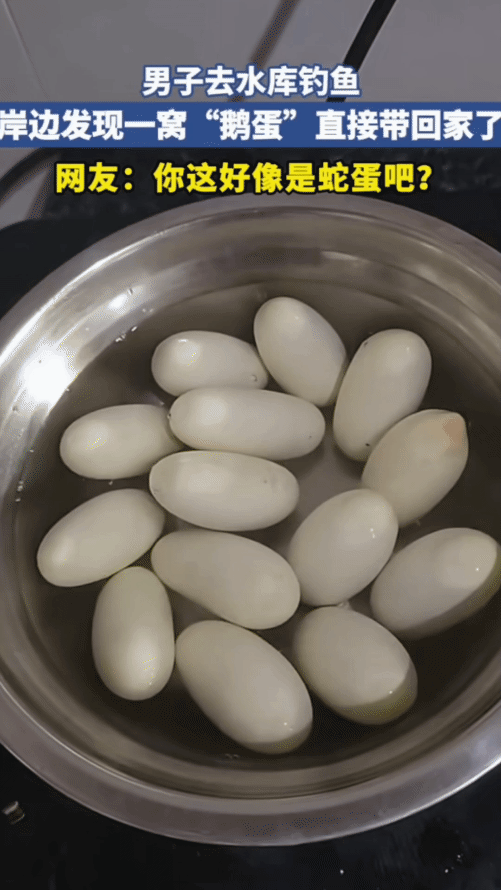 男子去水库钓鱼，没想到，他在岸边发现一窝“鹅蛋”。他捡回去煮，结果网友看了说: