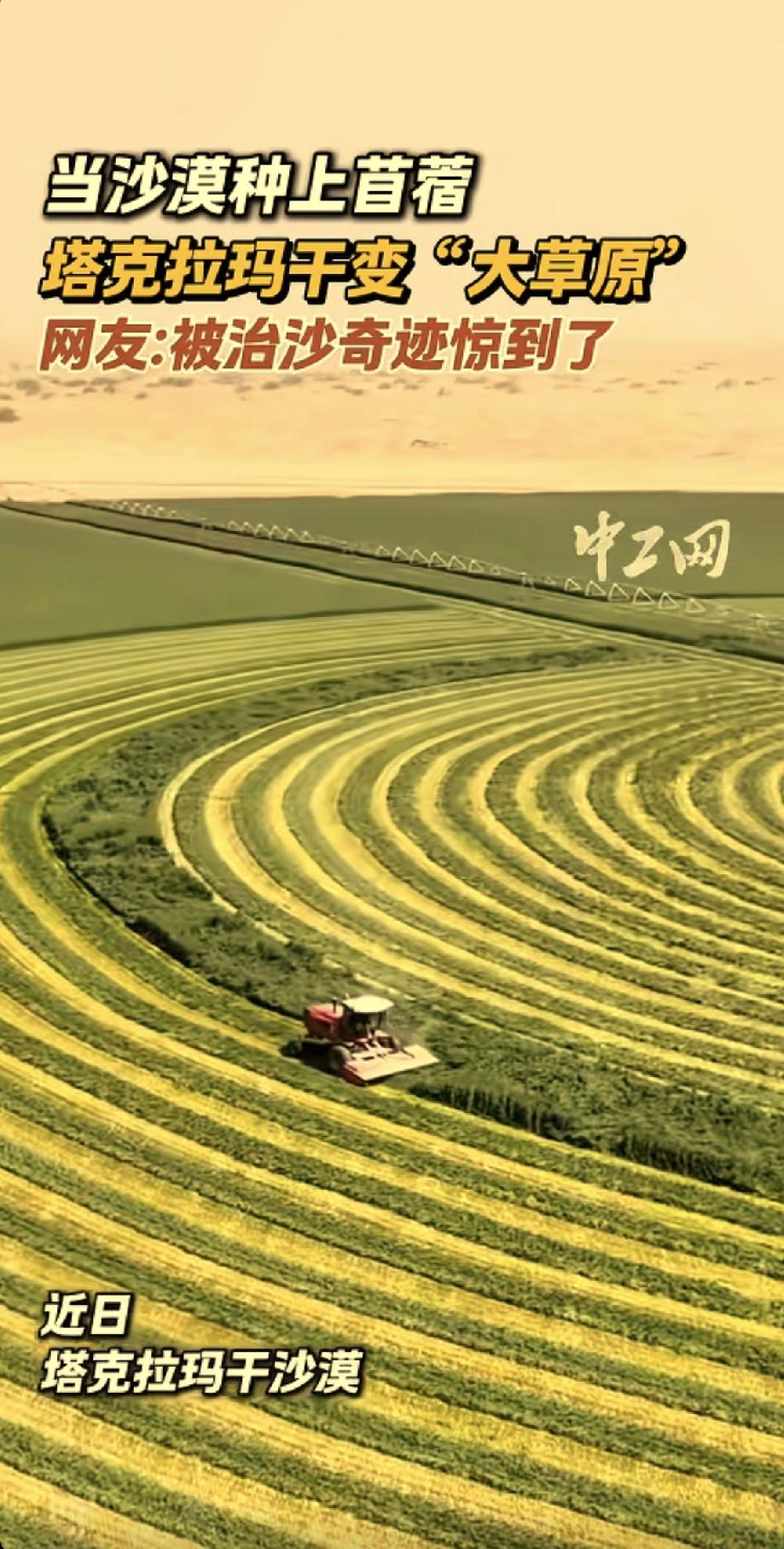 作为一个80后，当年的四大名著上写的全是以色列通过各种先进的农业技术改造沙漠。