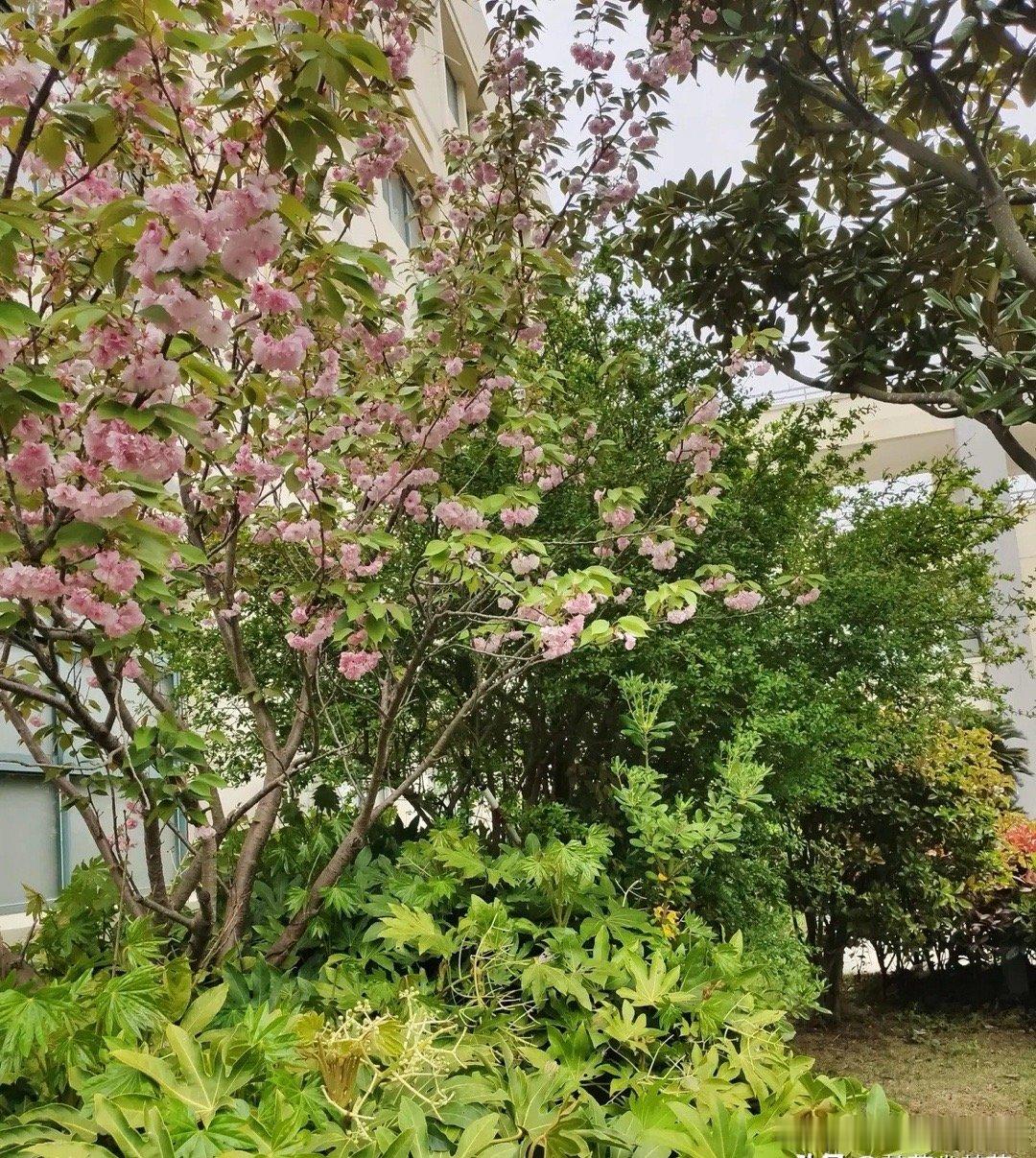 城府是怎么练成的1、一定要少说话，少说话，少说话。2、坏话当面说，好话背后说。学