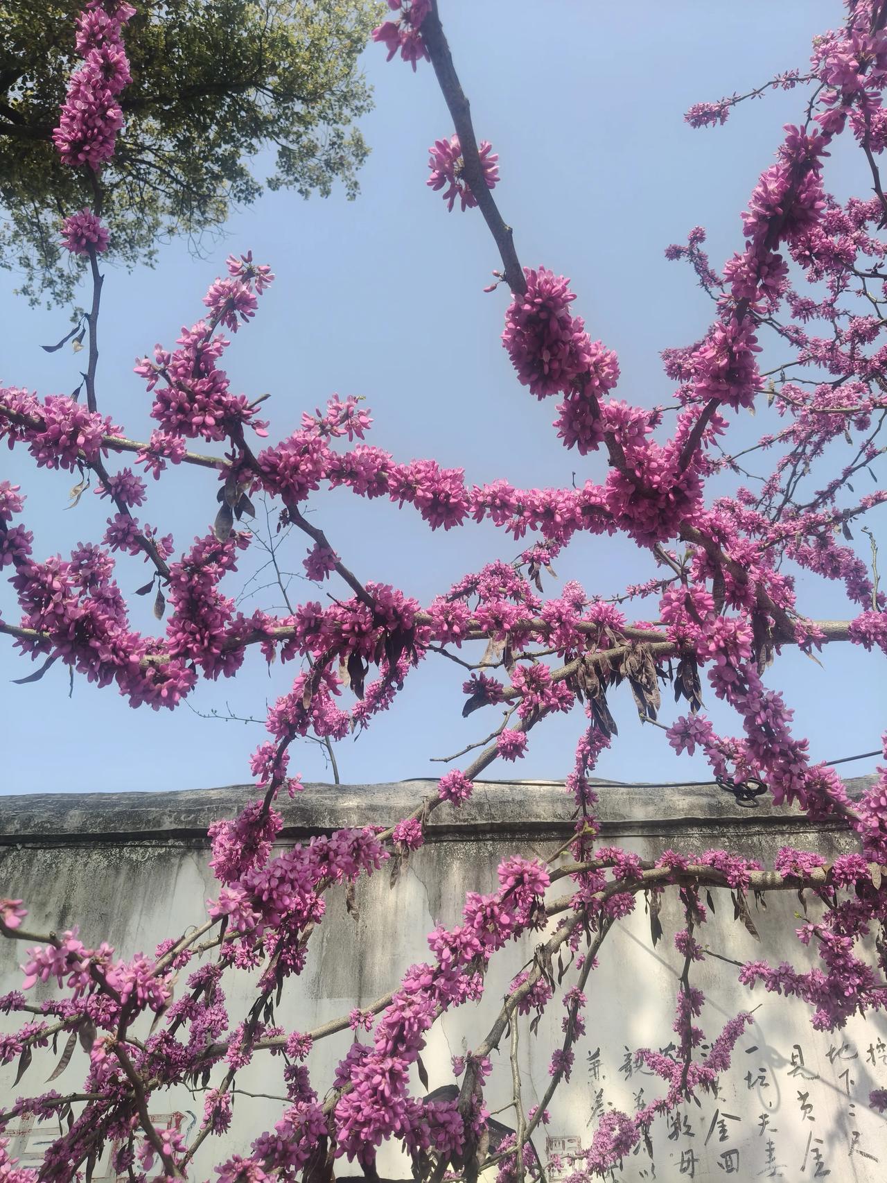 人生低谷时，别找人倾诉，别胡思乱想，别盲目折腾。你只需要安安静静做好一件