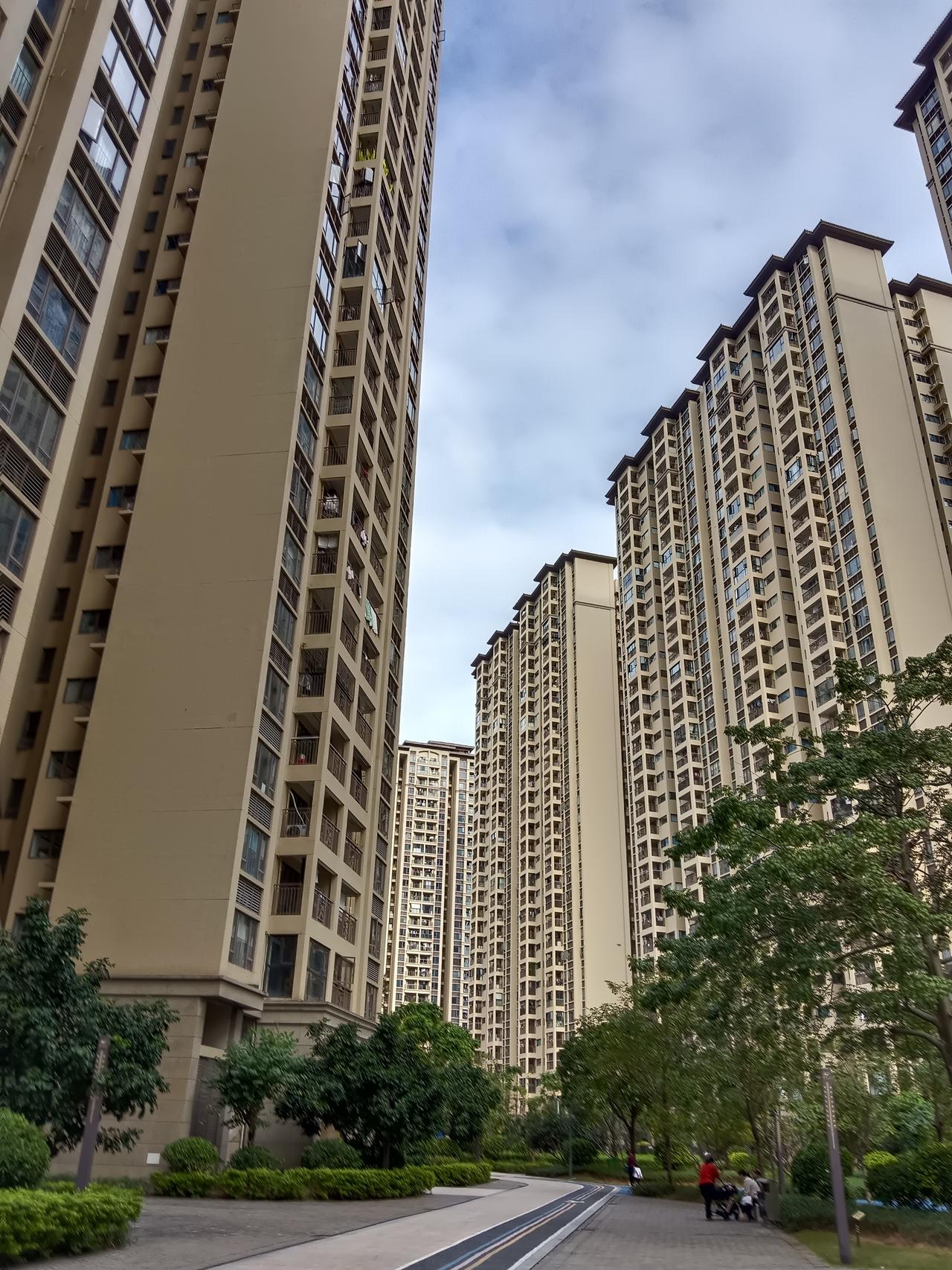 婆婆与媳妇的争吵，直接让我傻眼了。书上都说家丑不可外扬，可偏偏就有这么奇