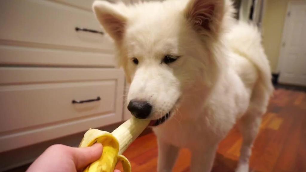 橙子香蕉加脉动 寓意楼盘成交卖动 120527 超