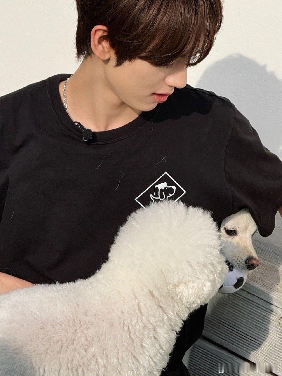 诶呀本人来了，当时只是和主人玩游戏没想到被偷拍了