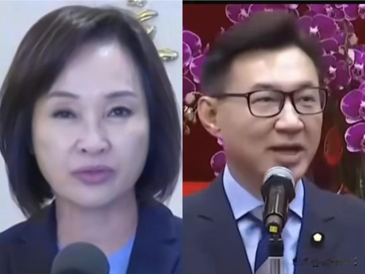 今年岛内的市长竞选，国民党有两个竞选人都是极端亲美的，一个是柯志恩，一个是江启臣