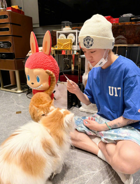 鹿晗发文，先给谁吃！