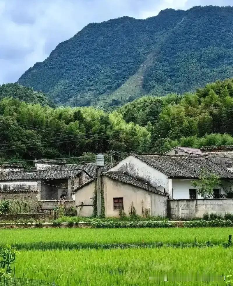 现在农村五保户也有新思想，每个月工资外加一些补贴，也能够拿到1000多元。在