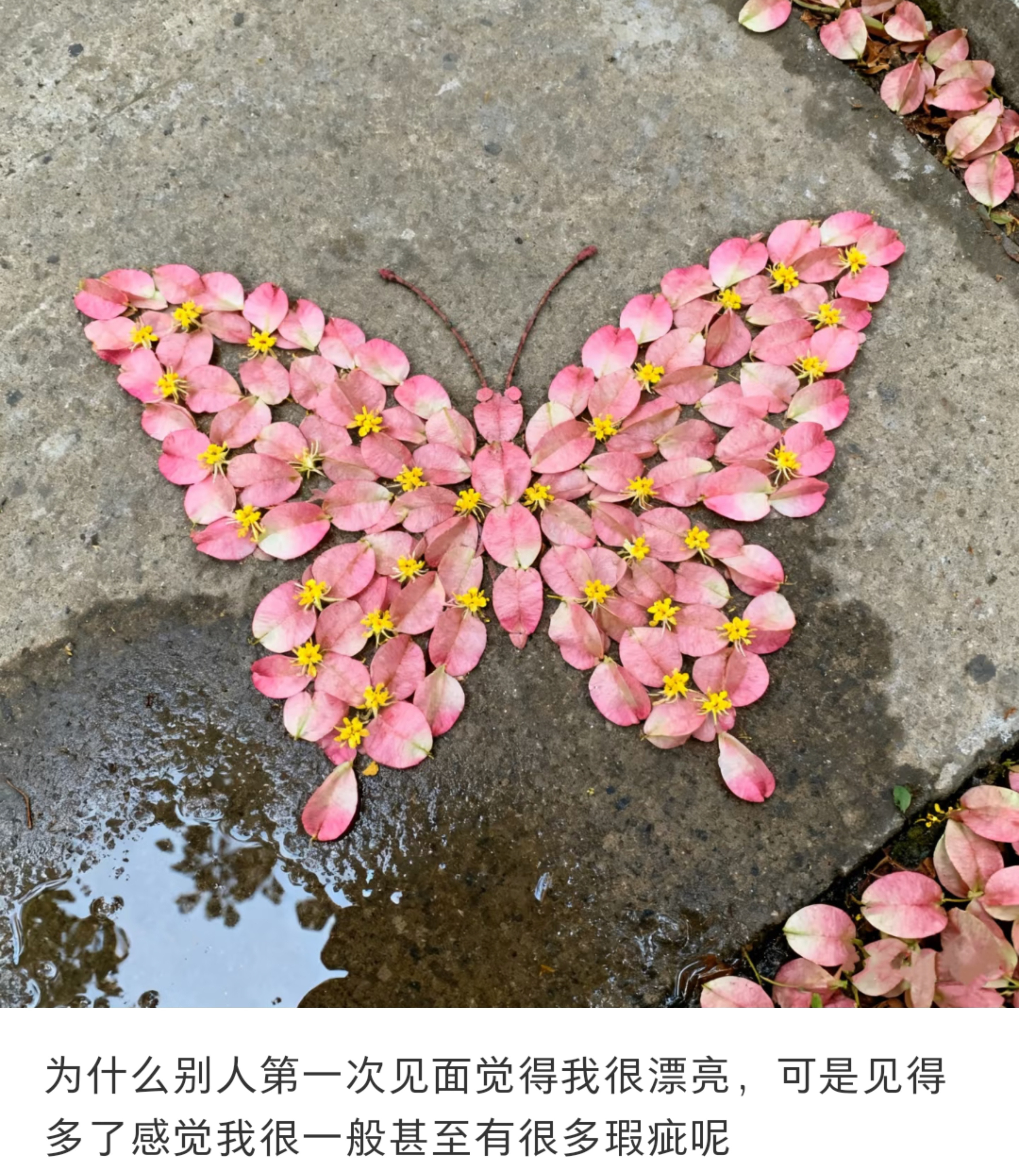 为什么别人第一次见面觉得我很漂亮
