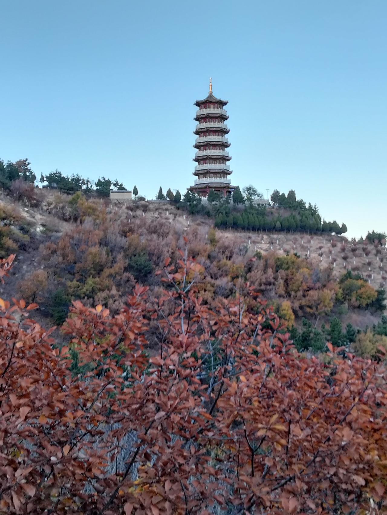 今天打卡开发区磁山地质公园，快攀登到百福塔时的，峭壁上，一个大大的‘’夀‘’字，