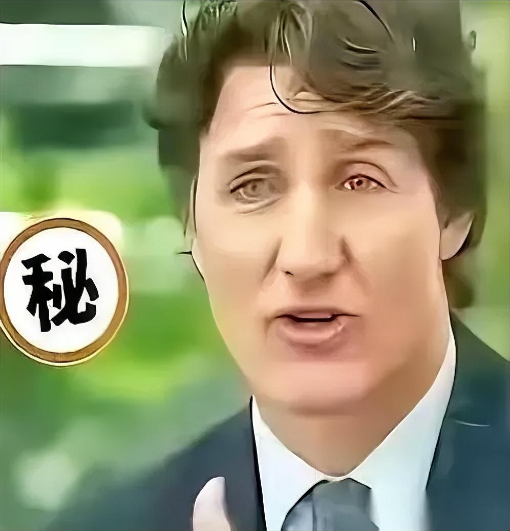 加拿大前总理特鲁多，对着新加坡的镜头，直接把话给挑明了：当年是美国，硬生生把我们
