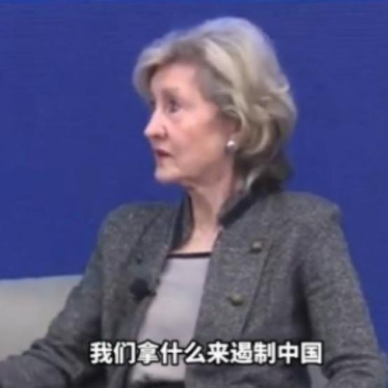 我们对付中国，不是去和它打仗！美国驻北约前大使说：中国有庞大的陆军、海军和空军，