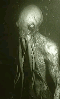 【疑似AI生成视频自行判断】这生物是否真的存在，是否真的隐藏在地球上，游