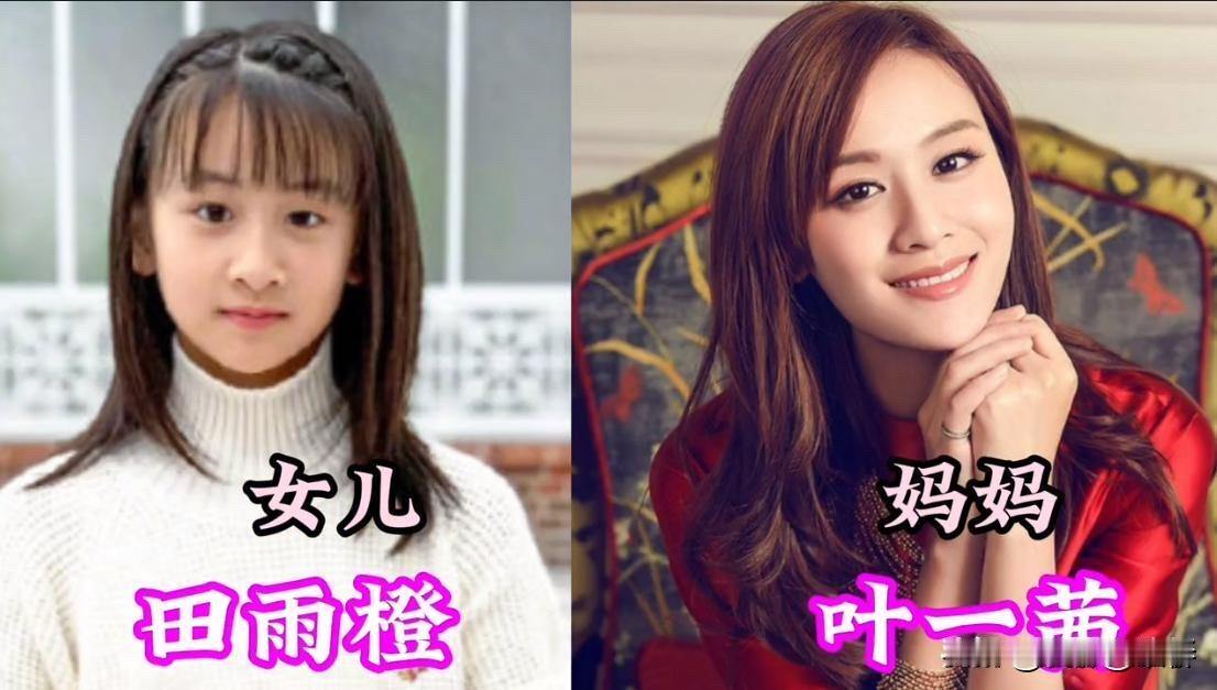星二代长大了！陆雨萱田雨橙考拉近照曝光，和妈妈站一起像姐妹还是像复制粘贴陆雨