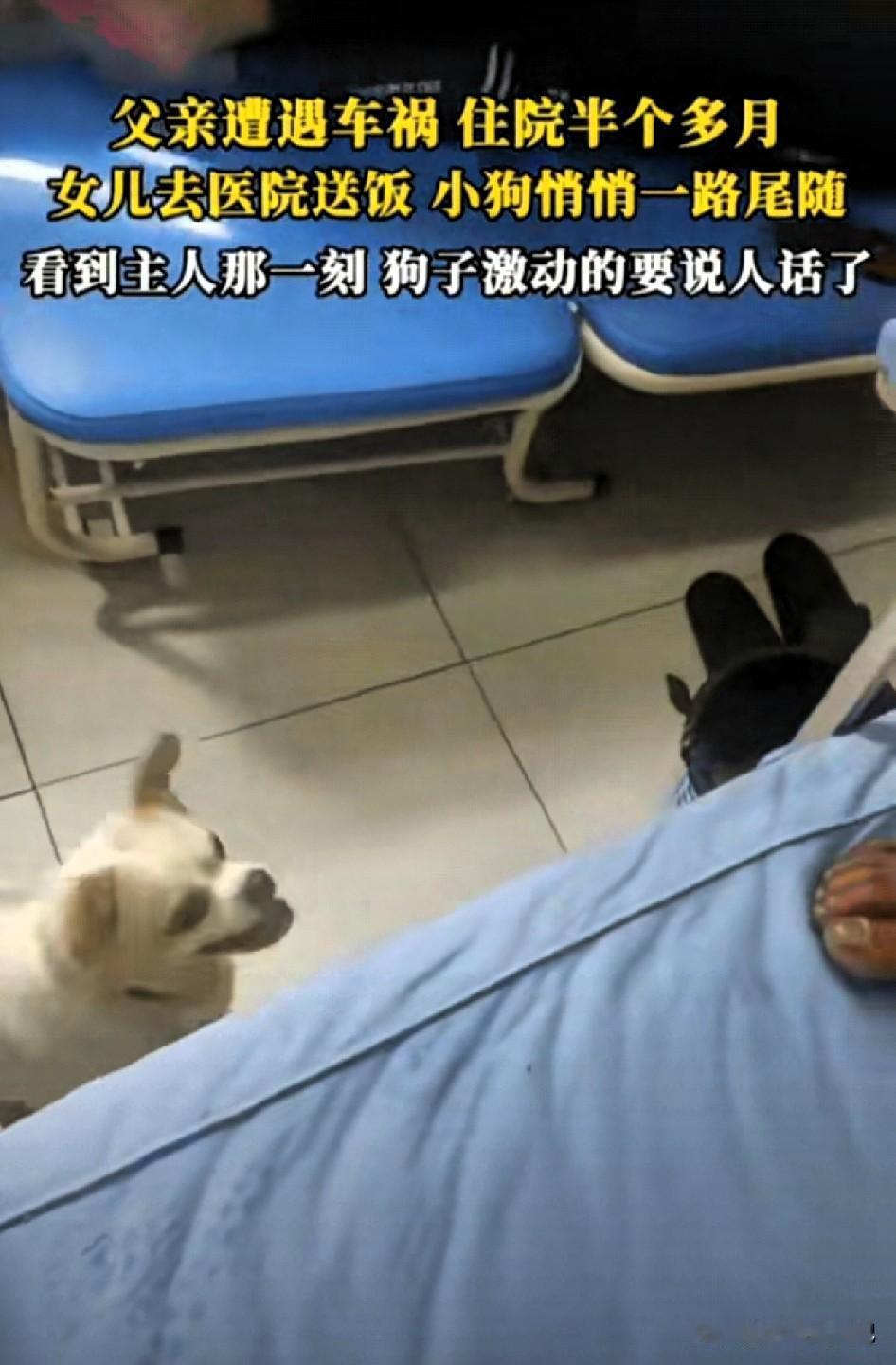 一场车祸让家里的男主人受伤住院，已经在医院休养了半个多月。女儿这天出门准备给父亲