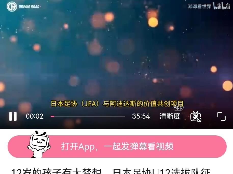 日本足协与阿迪达斯合作了一个项目，把第48届日本U12全国锦标赛（小学生足球大会