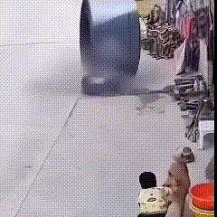 太神奇了！狗狗的判断力真的不可思议……眼见公路上一个巨大的轮子滚过来，