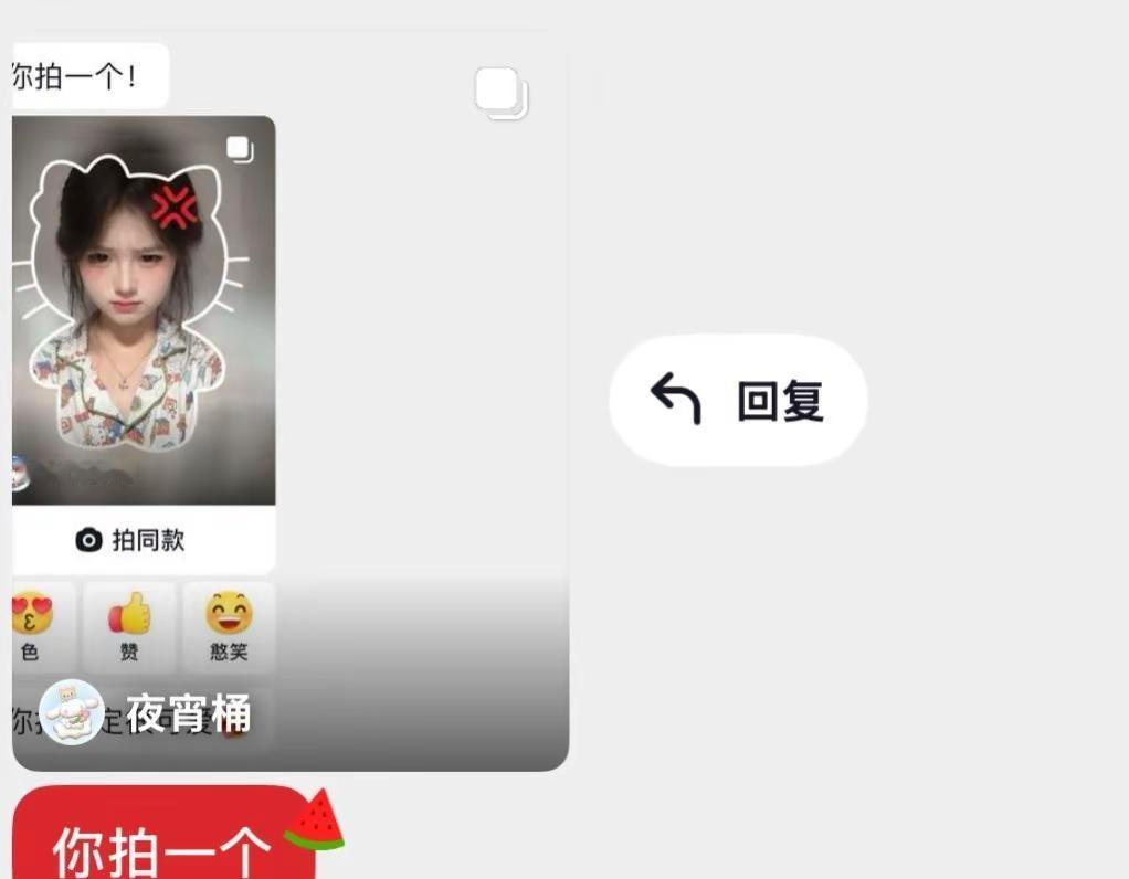 求不睡觉就能睡觉的方法不愧是我甜妹小猫取景框